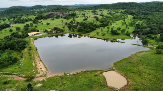 Fazenda/Sítio com 10 Quartos à venda, 1694000m² no , Faina