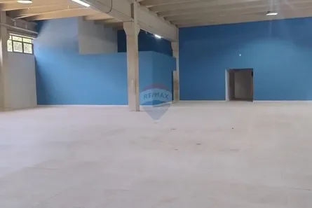 Galpão/Depósito/Armazém para alugar, 1600m² no Vila Maria, São Paulo