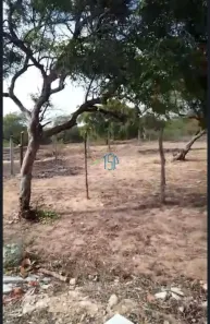 Lote/Terreno à venda, 4000m² no Centro, Nísia Floresta