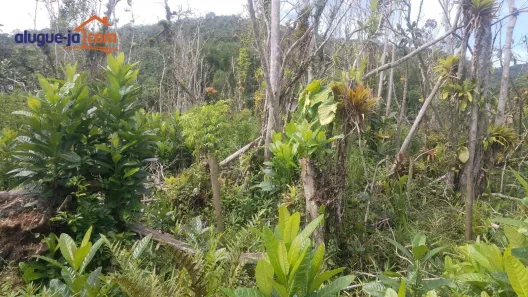 Lote/Terreno à venda, 360m² no Praia do Itamambuca, Ubatuba