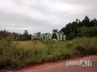 Lote/Terreno para alugar, 2999m² no Mato Alto, Gravataí