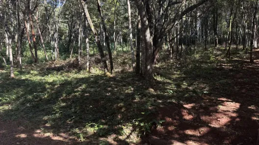 Lote/Terreno à venda, 1000m² no Povoado Palhano (Piedade do Paraopeba), Brumadinho