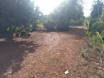 Lote/Terreno à venda, 5000m² no Quinta da Alvorada, Ribeirão Preto