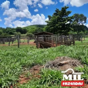 Fazenda/Sítio à venda, 500m² no , Araguainha