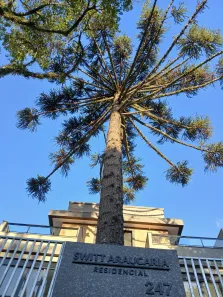Casa de Condomínio com 3 Quartos à venda, 195m² no Portão, Curitiba