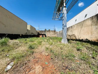 Lote/Terreno para alugar, 452m² no Nova Aliança, Ribeirão Preto