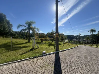 Lote/Terreno à venda, 10000m² no São Ciro, Caxias do Sul