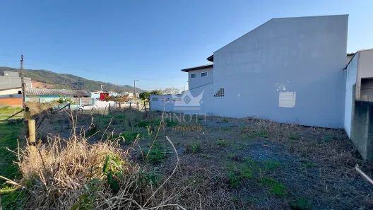 Lote/Terreno à venda, 260m² no Santa Regina, Itajaí