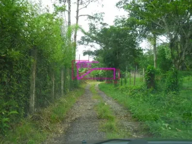 Fazenda/Sítio com 1 Quarto à venda, 89440m² no Miracatu, Miracatu