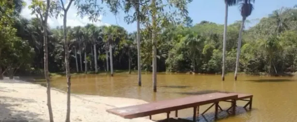 Fazenda/Sítio com 1 Quarto à venda, 600m² no , Iranduba