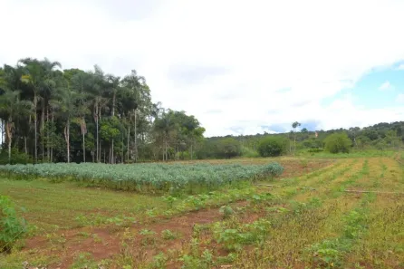 Fazenda/Sítio com 3 Quartos à venda, 160m² no Tocantins, Uberlândia