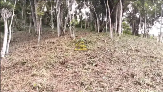 Lote/Terreno à venda, 1112m² no Itaipava, Petrópolis