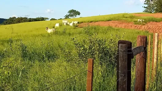 Prédio Comercial à venda, 30000m² no , Avaí