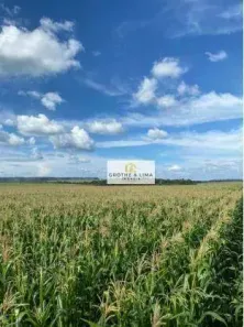 Fazenda/Sítio com 10 Quartos à venda, 700m² no , Balsas