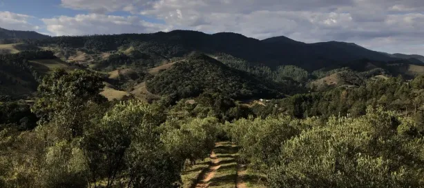 Fazenda/Sítio com 3 Quartos à venda, 826000m² no Centro, Delfim Moreira