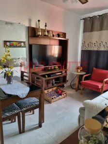 Apartamento com 3 Quartos à venda, 79m² no Vila Constança, São Paulo