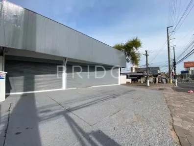 Ponto Comercial para alugar, 938m² no Passo da Areia, Porto Alegre
