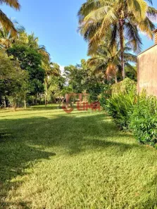 Fazenda/Sítio com 3 Quartos à venda, 150m² no Estância de Iacanga, Iacanga