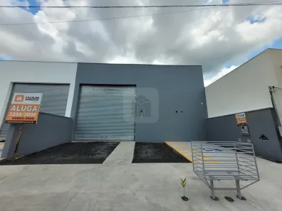 Galpão/Depósito/Armazém para alugar, 245m² no Shopping Park, Uberlândia