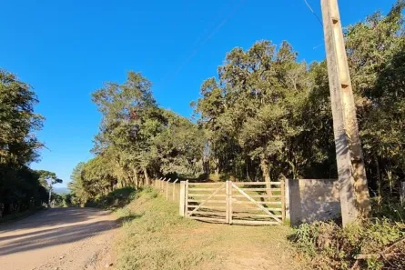 Lote/Terreno à venda, 66075m² no Rural, Tijucas do Sul