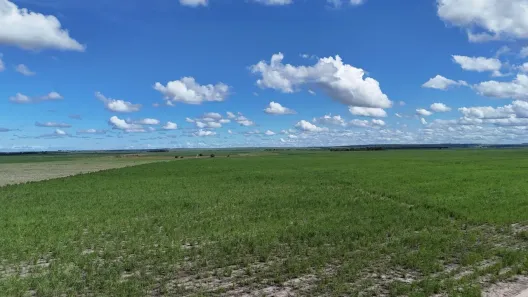 Lote/Terreno à venda, 200000m² no , Cruz do Espírito Santo