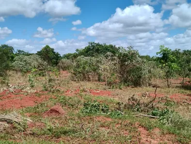 Fazenda/Sítio à venda, 20000m² no Zona Rural, Paraopeba
