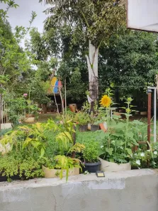 Casa com 2 Quartos à venda, 150m² no Setor de Mansões de Sobradinho, Brasília