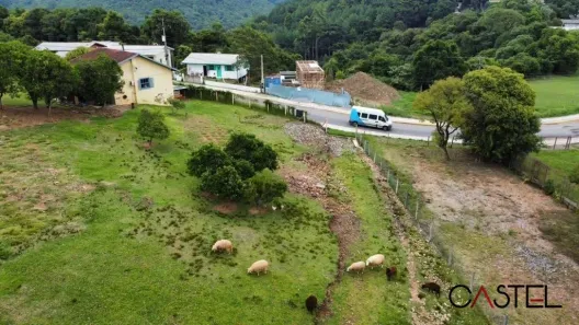 Imóvel Comercial à venda, 12672m² no Floresta, Gramado