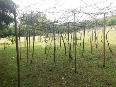 Lote/Terreno à venda, 6397m² no Vila Nova, Porto Alegre