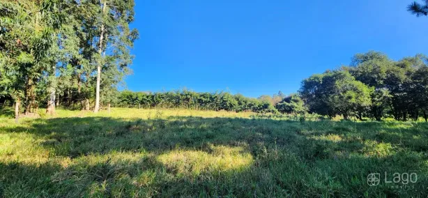 Lote/Terreno à venda, 39500m² no Colônia Dona Luíza, Ponta Grossa