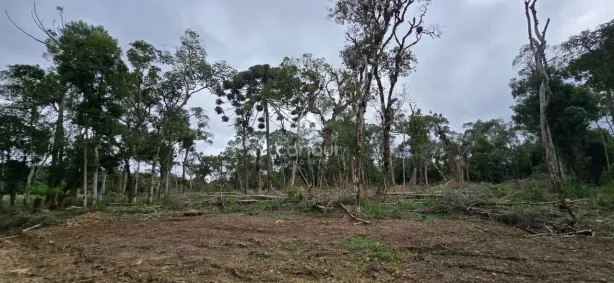 Lote/Terreno com 1 Quarto à venda, 17108m² no Rural, Tijucas do Sul
