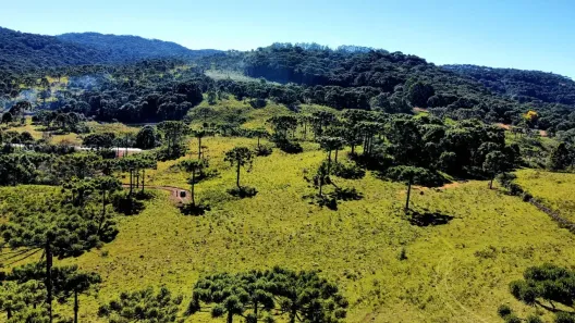 Fazenda/Sítio à venda, 11000m² no , Urupema