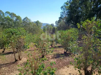 Lote/Terreno à venda, 8000m² no , Monte Sião