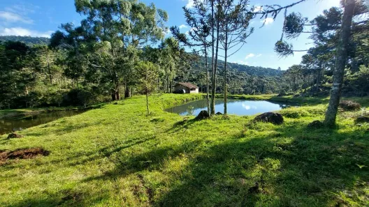 Lote/Terreno à venda, 30000m² no , Painel