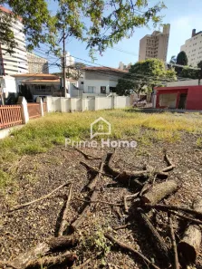 Lote/Terreno para alugar, 442m² no Cambuí, Campinas