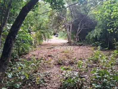 Lote/Terreno à venda, 530m² no Pipa, Tibau do Sul
