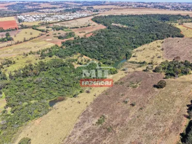 Fazenda/Sítio à venda, 1m² no Centro, Anápolis
