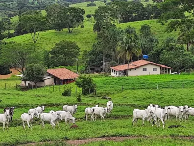 Fazenda/Sítio com 1 Quarto à venda, 172000m² no , Terezópolis de Goiás