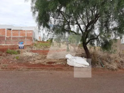 Lote/Terreno à venda, 250m² no Jandaia do Sul, Jandaia do Sul