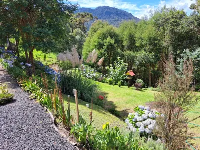 Fazenda/Sítio com 1 Quarto à venda, 20000m² no Urubici, Urubici