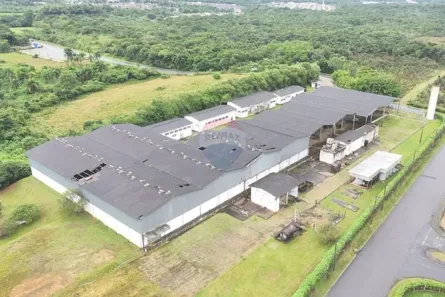 Galpão/Depósito/Armazém à venda, 10000m² no Jardim das Palmeiras, Registro