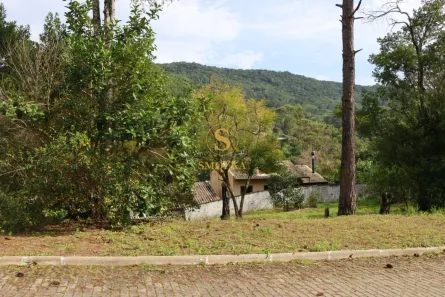 Lote/Terreno à venda, 452m² no Ratones, Florianópolis