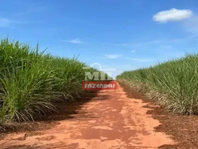 Fazenda/Sítio à venda, 500m² no , Gouvelândia