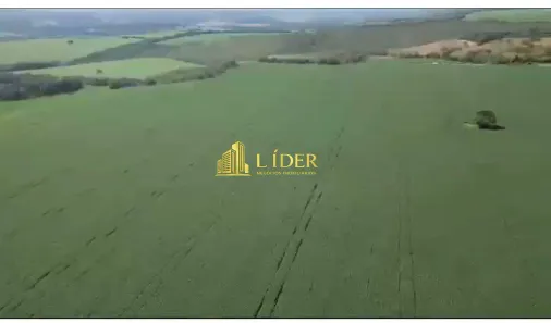 Fazenda/Sítio à venda, 678m² no , Campo Alegre de Goiás