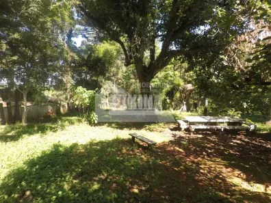 Fazenda/Sítio à venda, 4000m² no Colônia Dona Luíza, Ponta Grossa