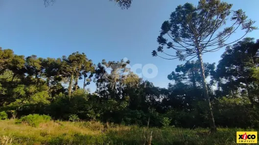Fazenda/Sítio com 1 Quarto à venda, 30137m² no Pinhal Alto, Nova Petrópolis