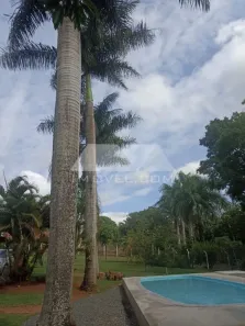 Fazenda/Sítio com 3 Quartos à venda, 290m² no Sítio Dom Bosco, Rio Claro