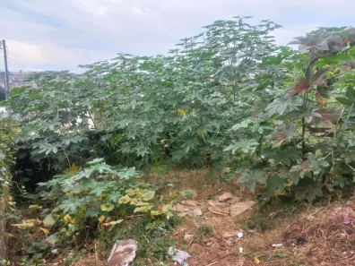 Lote/Terreno à venda, 360m² no São Benedito, Santa Luzia