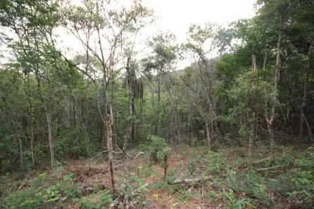 Lote/Terreno à venda, 1019m² no Canto da Mata, Nova Lima