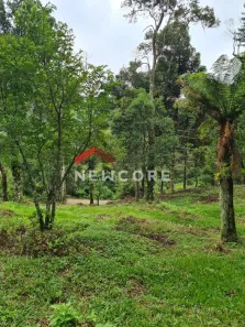 Lote/Terreno à venda, 3400m² no Centro, São Francisco de Paula